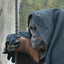 the greatest ape