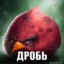 Угольный ZOVод