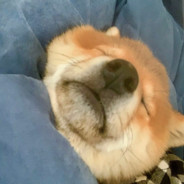 春日部 蜡笔小新