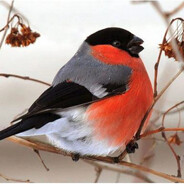 MKRN - steam id 76561198096203316