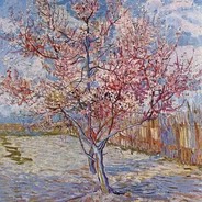 她是我的小兔子