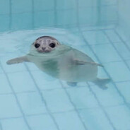 Seal