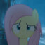 Fluttershy