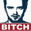 Jesse Pinkman