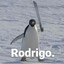 Rodrigo.