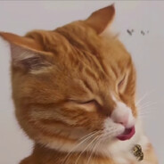 云恋悦宇