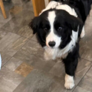 懒懒懒懒到不行