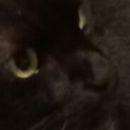 ds14 avatar