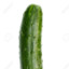 Cucumber1X