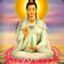 guan yin meow