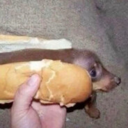 Parufszczaq - steam id 76561198991001872