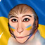 розчепірка