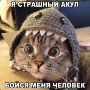 Золушка NumberOne - steam id 76561197961066451