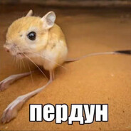 АЛИ "мент"
