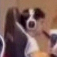 БАРБОС БАРБОС