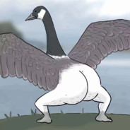 队友叫我买个挂