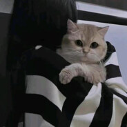 她的画面已成风