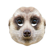 Tordel - steam id 76561197971085242