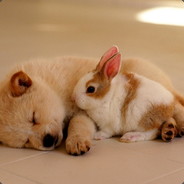 中华名族必将实现伟大复兴