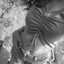 Flay