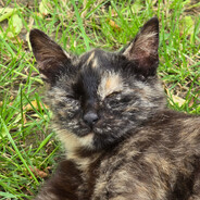 私の悲惨さを終わらせ