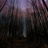 特鲁看住小玉老爹打个