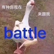 秋名山翻车队 Tomyduck