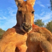 Parpal - steam id 76561199478252351