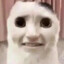 twelve (on Grindr)