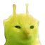 Yelorp