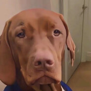 老子飞过来给你一er食