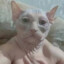 Сквидвард