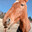 Mildly Amusing Horse