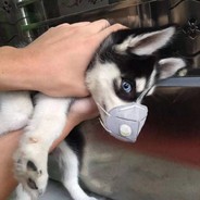 䎘