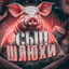 Ваша светлость (пиво)