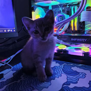Avatar of Я-TEAM KIWI
