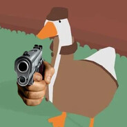 silly goose avatar