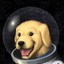 SpaceDog