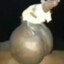 rato ovudo