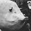 whole hog