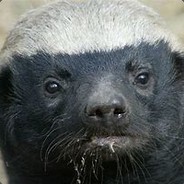 The Honey Badger's Avatar