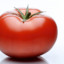 Tomato Cultivator