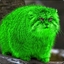 Green-cat