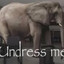 Undress Me