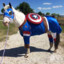 CaptainHorse