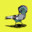 Street-Pigeon