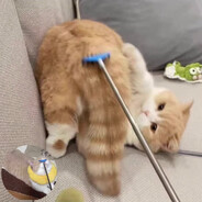 AGGRESSIVE PLAYER PROFILE