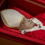 Pope_francwas