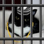 Meow maxxer