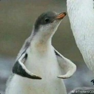 对敌宝具召忠改